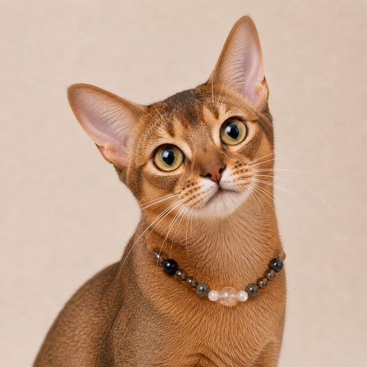 Smokemoon Crystal Collar
