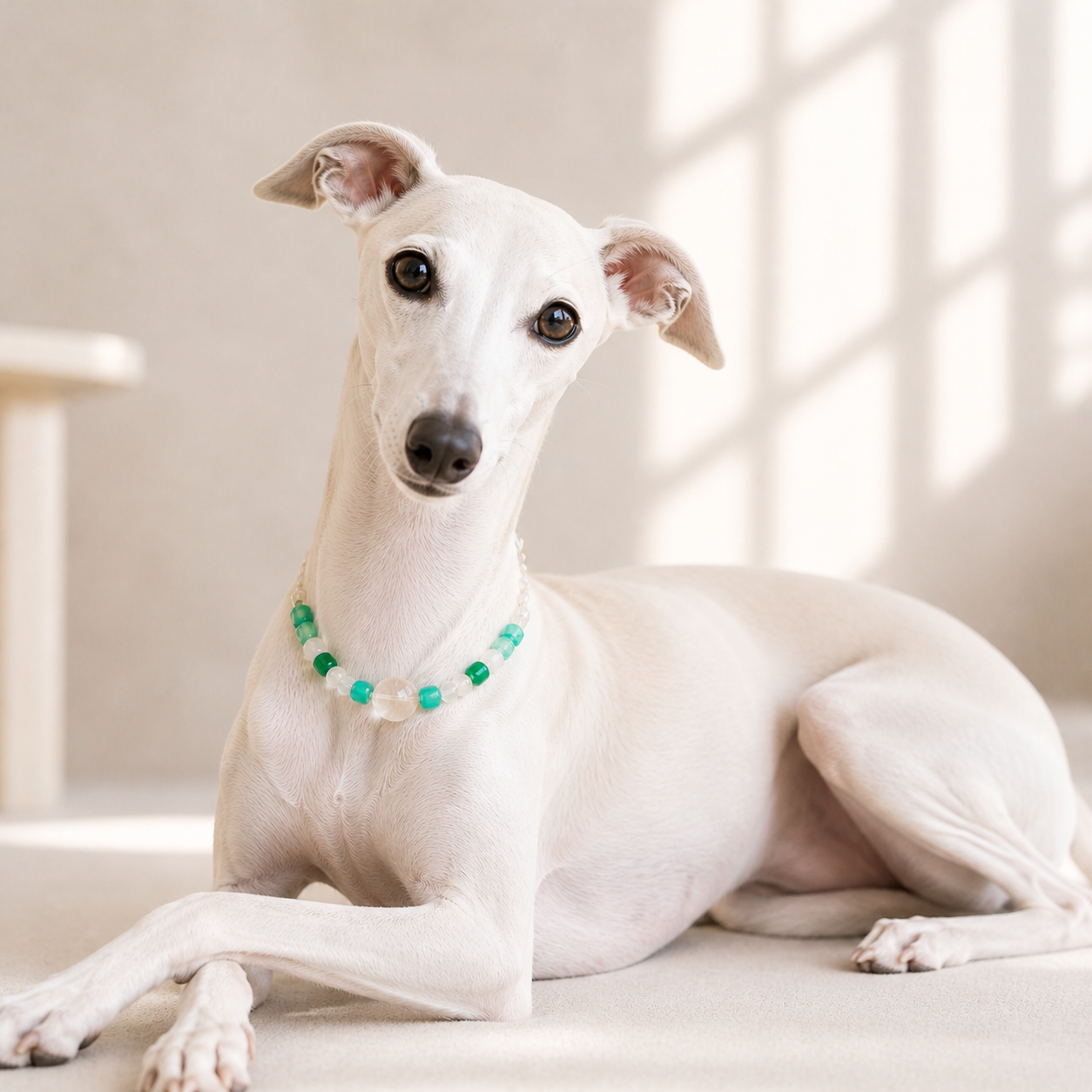 Zen-Inspired Green Crystal Pet Collar