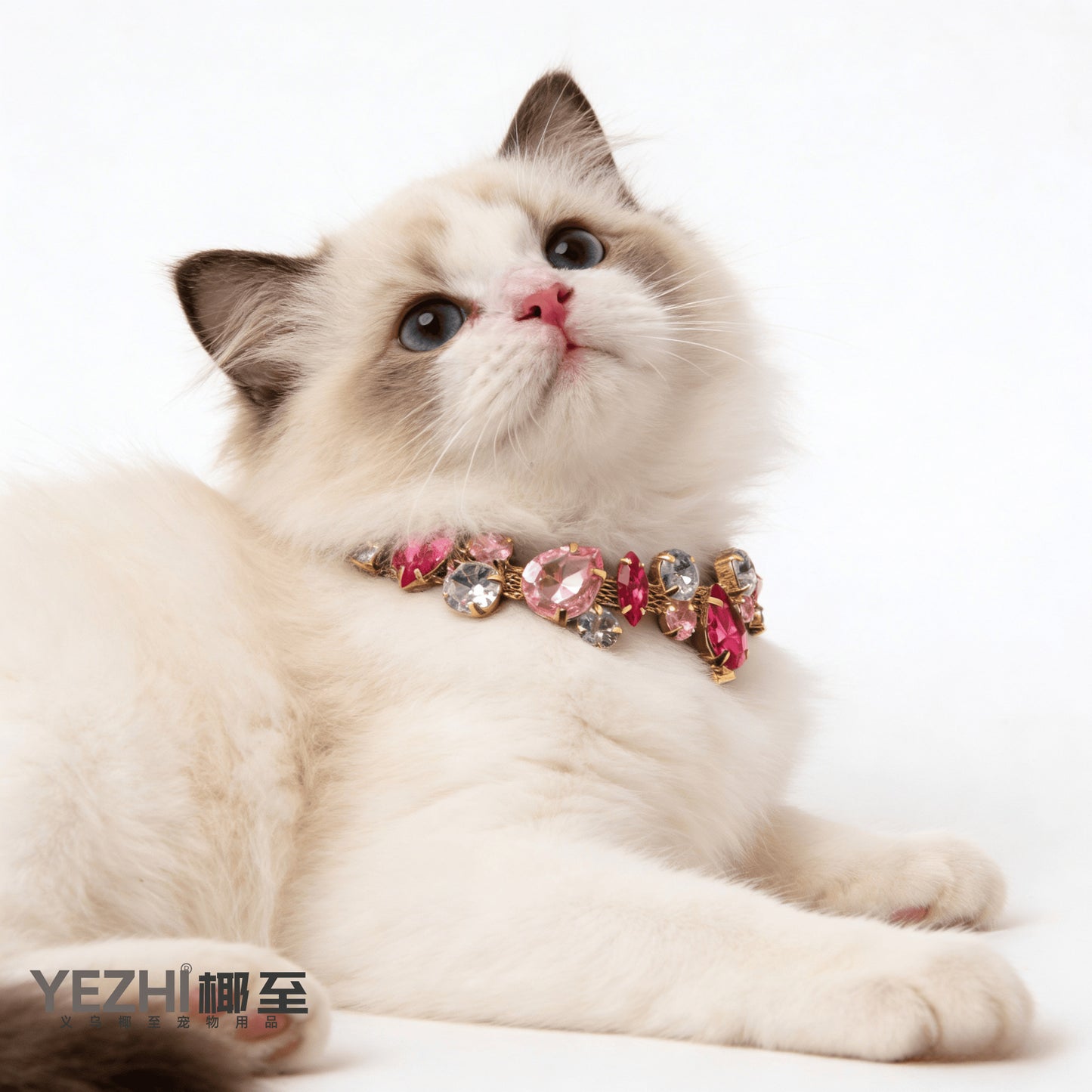 The Luminous Grace  Choker