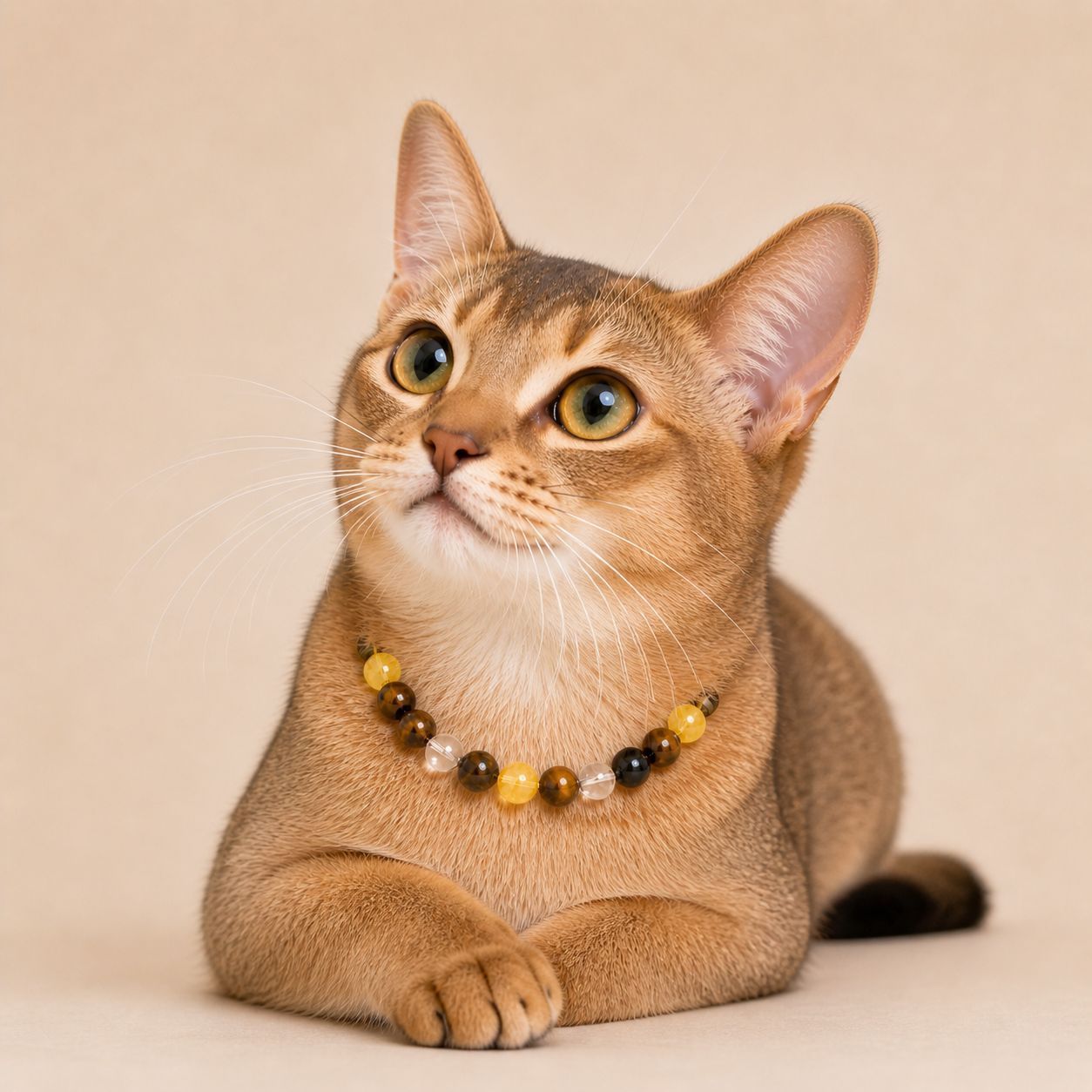 Amber Guardian Crystal Collar