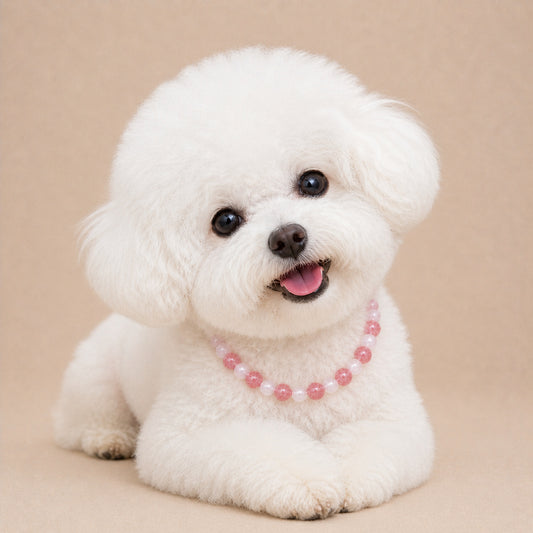 Blush Bloom Crystal Collar