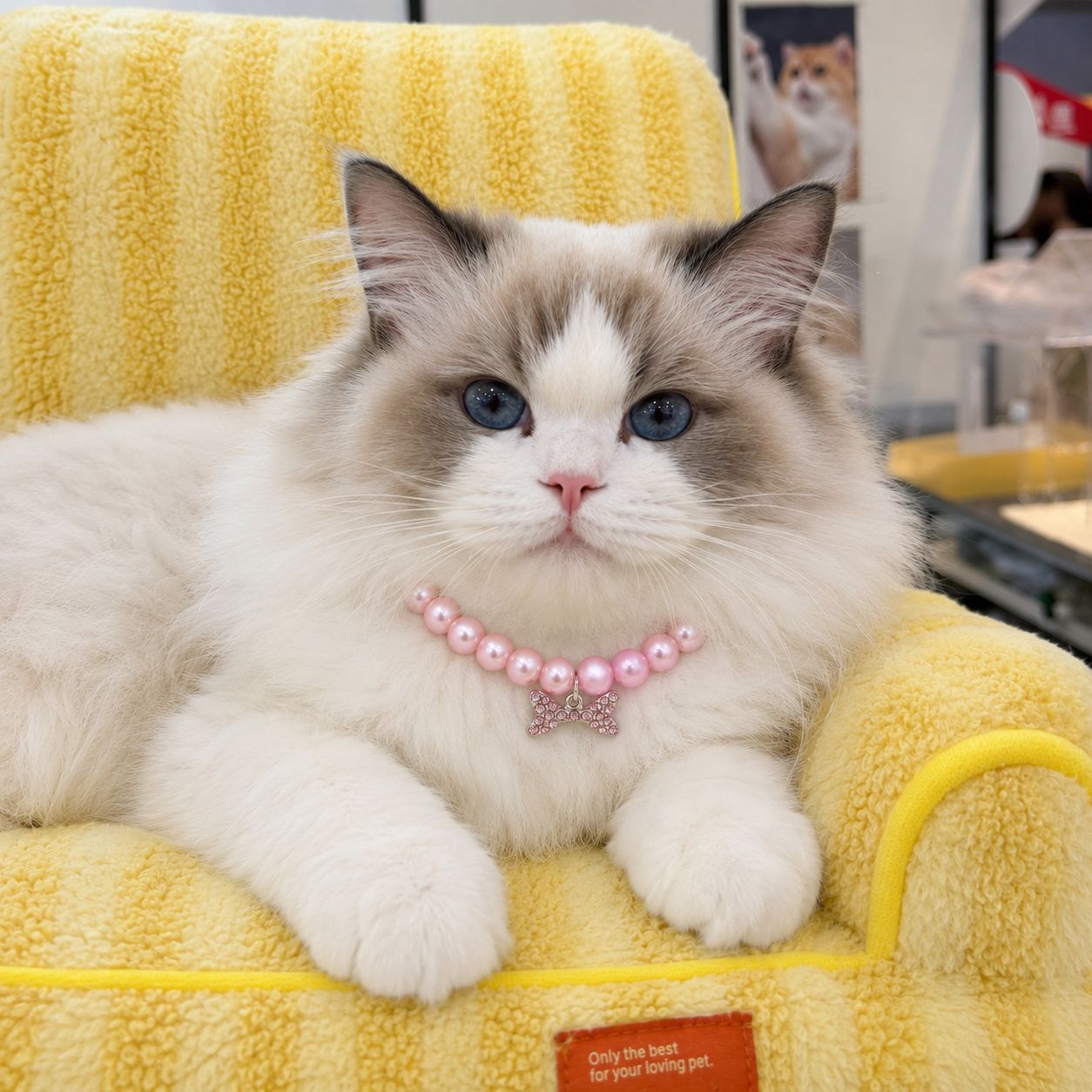 The Bone-Charmed Pearl Bijou