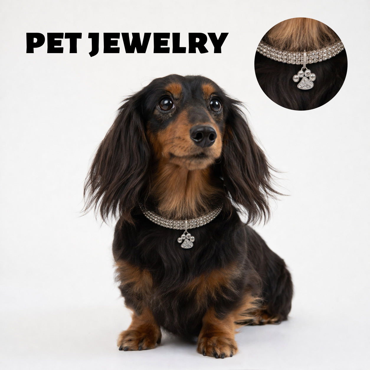 Shiny Claw Pendent Necklace