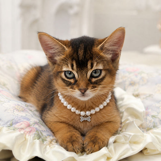 The Bone-Charmed Pearl Bijou