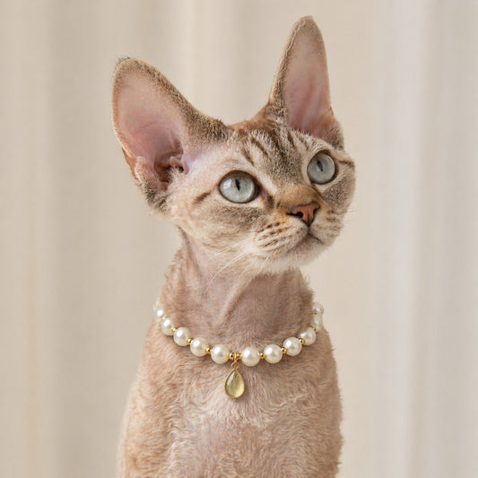 The Ethereal Glow Dewdrop Necklace