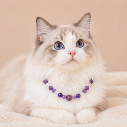 Moonveil Crystal Collar