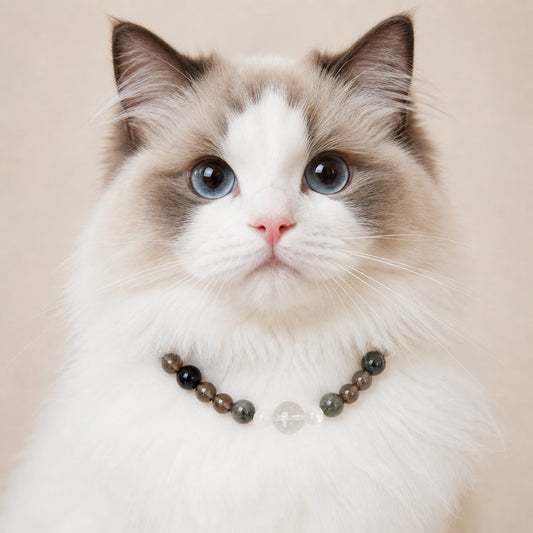 Smokemoon Crystal Collar